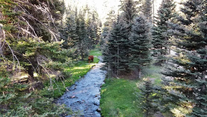 Rio Costilla Park & Campground Picture 9
