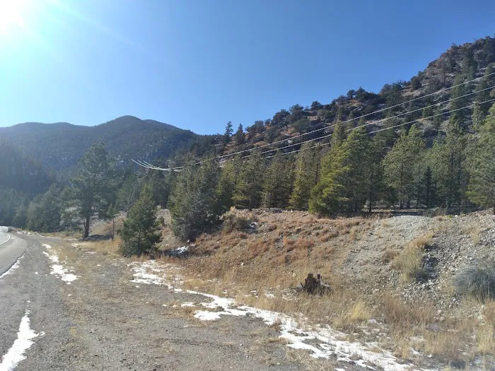 Rio Costilla Park & Campground Picture 4