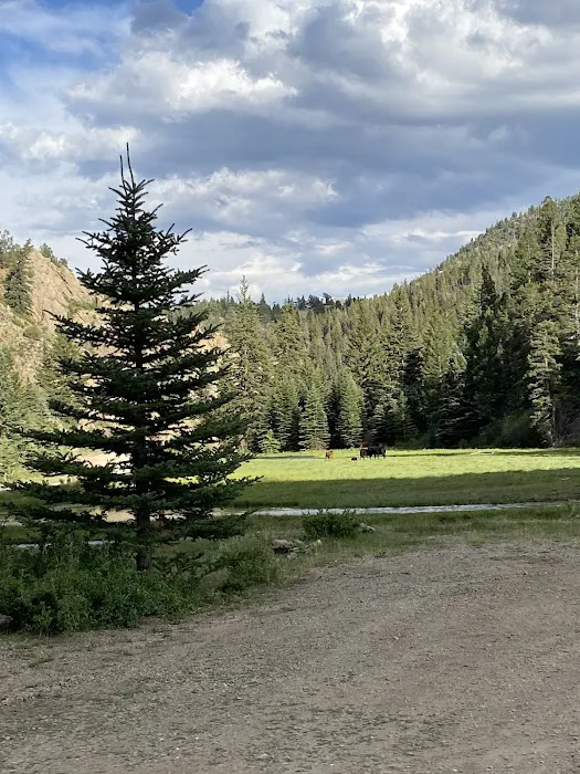 Rio Costilla Park & Campground Picture 7