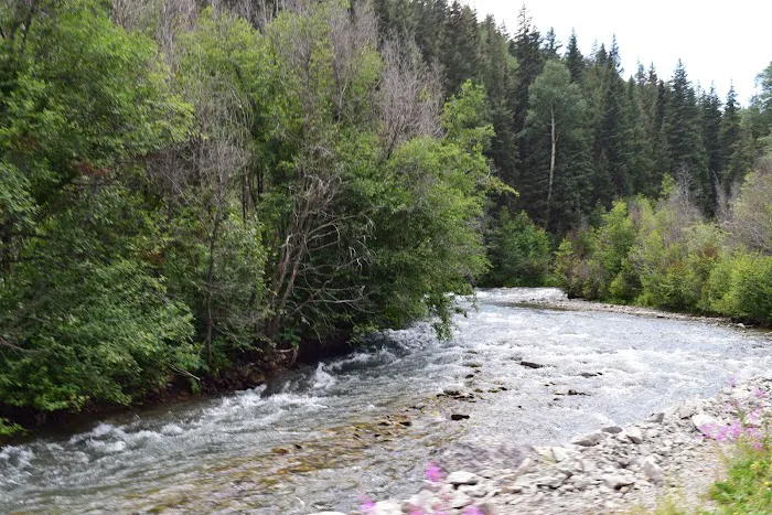 Snowden Meadow Picture 7