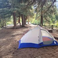Woodlake Park ico