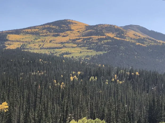 Highlander RV Campground Picture 7