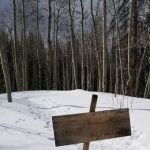 Jon Wilson Yurt