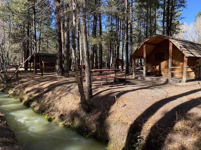 Ouray KOA Holiday Picture 5
