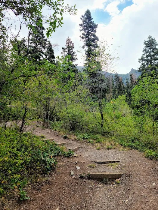 Amphitheater Campground Picture 1