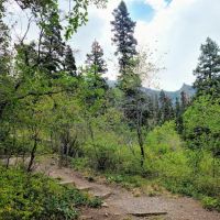 Amphitheater Campground ico