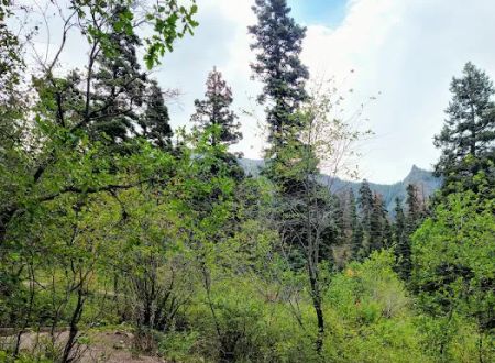 Amphitheater Campground