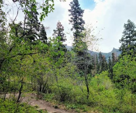 Amphitheater Campground
