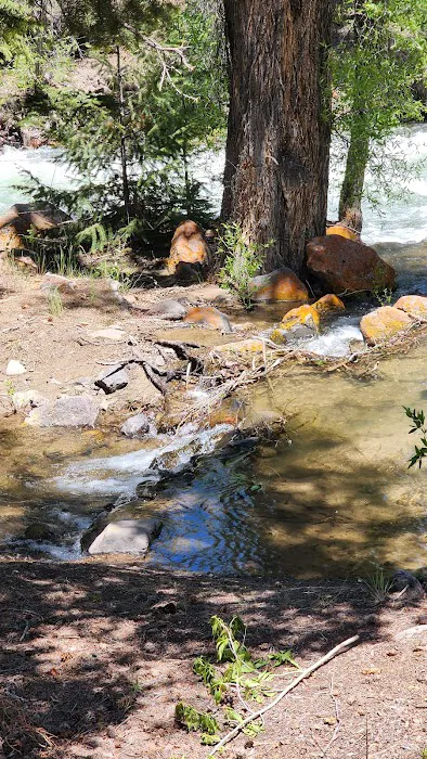 Williams Creek Campground Picture 2