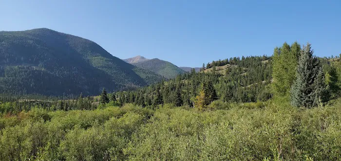 Williams Creek Campground Picture 4
