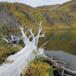 Squaw Lake