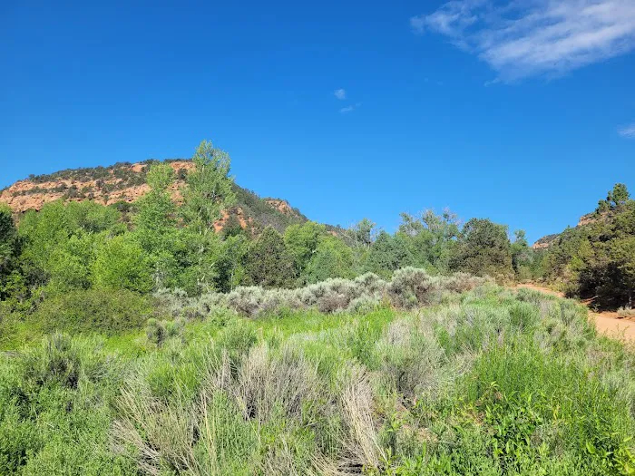 Dominguez Campground Picture 2