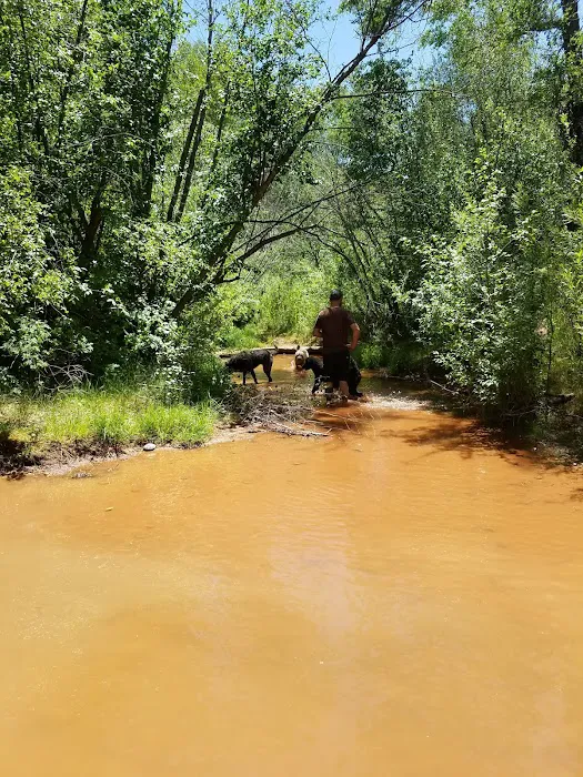 Dominguez Campground Picture 4