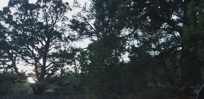 Dominguez Campground Picture 6