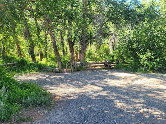 Dominguez Campground Picture 9
