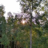 Blue Lakes Hut ico
