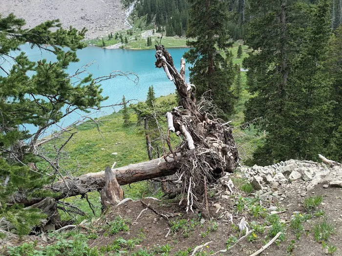 Blue Lakes Hut Picture 9