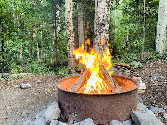 Thistledown Campground Picture 3