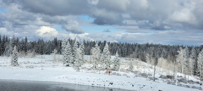 Columbine Campground Picture 2