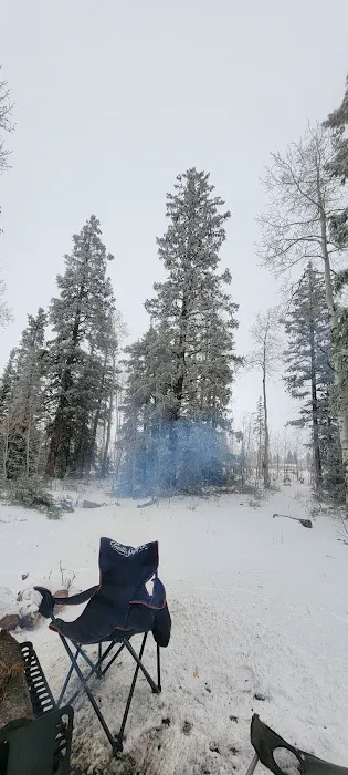 Columbine Campground Picture 6