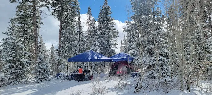 Columbine Campground Picture 4