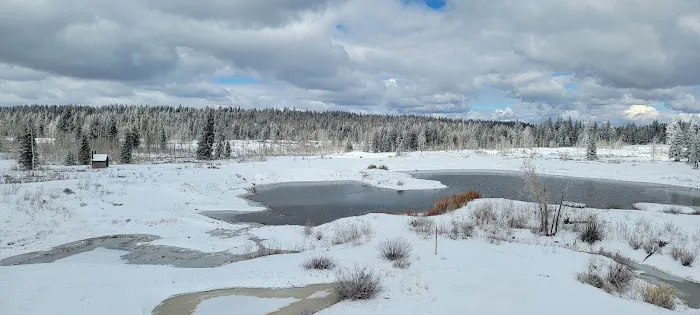 Columbine Campground Picture 3