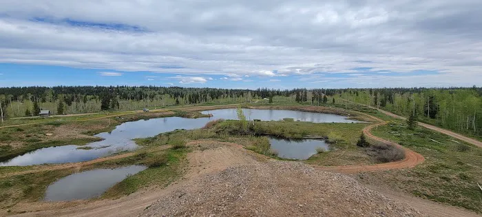 Columbine Campground Picture 5