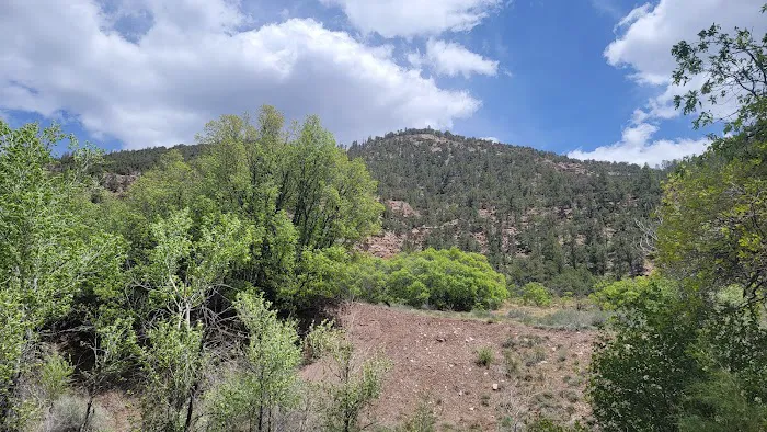 Lower Beaver Campground Picture 1