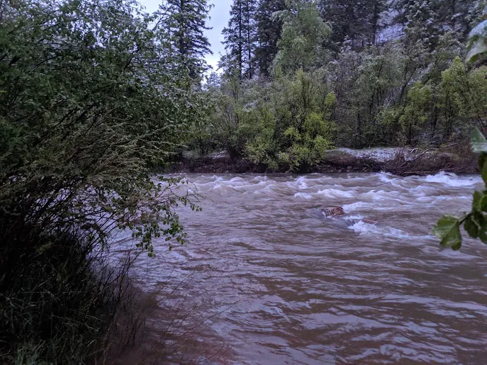 Lower Beaver Campground Picture 2