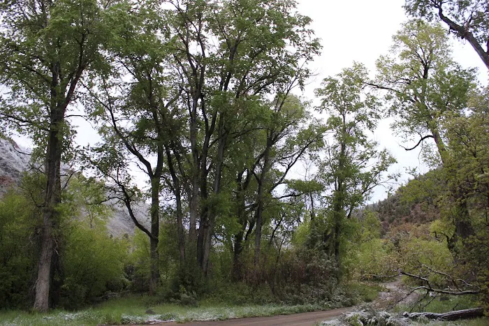 Lower Beaver Campground Picture 9