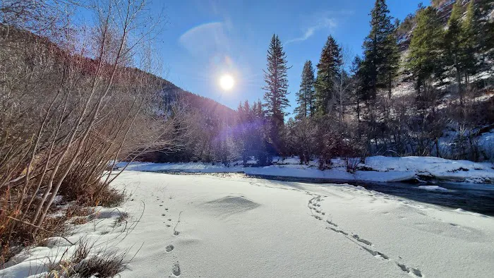 Lower Beaver Campground Picture 10