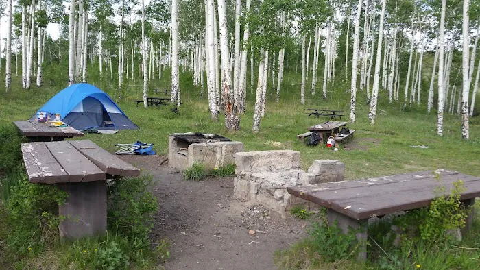 Fruita Picnic Site (recgovnpsdata) Picture 10