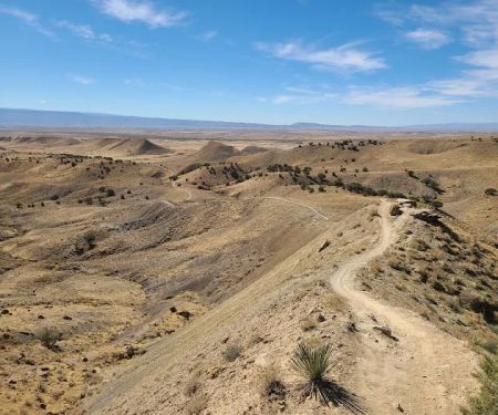 North Fruita Desert