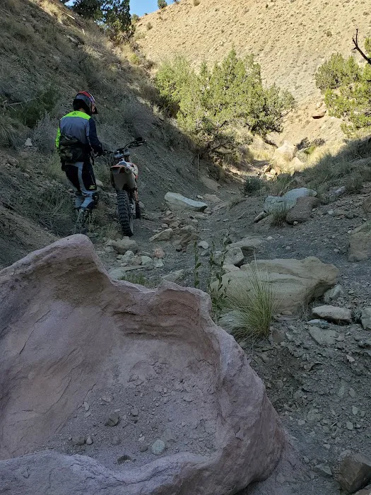North Fruita Desert Picture 3