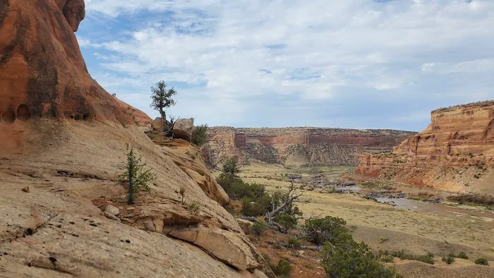 Black Rocks 1-4 Campsite Picture 4