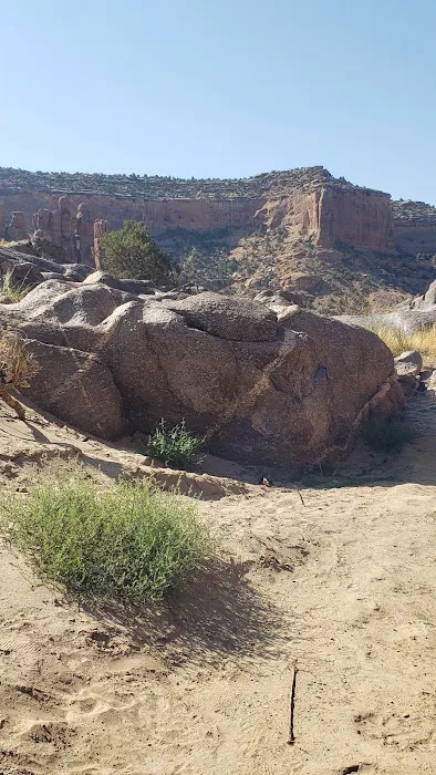 Black Rocks 1-4 Campsite Picture 1