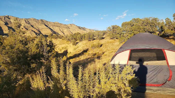 BLM North Fruita Campground Picture 5