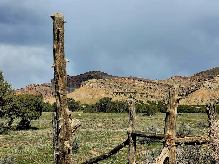 BLM North Fruita Campground Picture 6