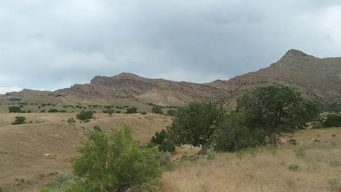BLM North Fruita Campground Picture 2