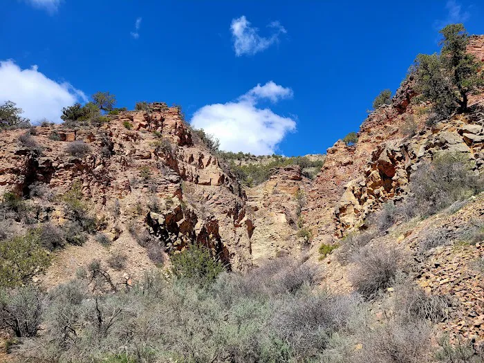 BLM North Fruita Campground Picture 10