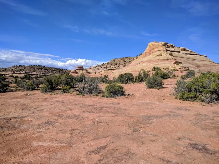 Rabbit Valley Campground Picture 9