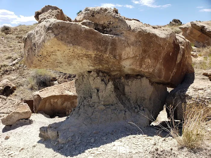 Rabbit Valley Campground Picture 5