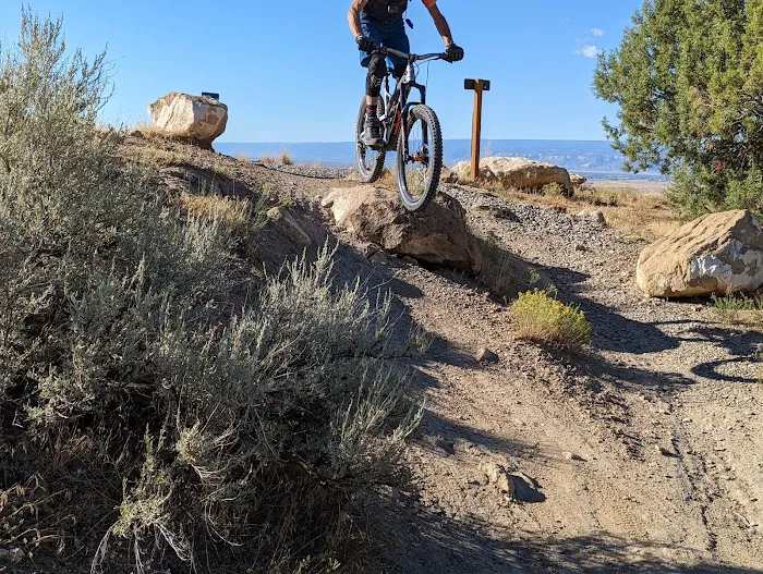 18 Road BLM Campground Picture 9