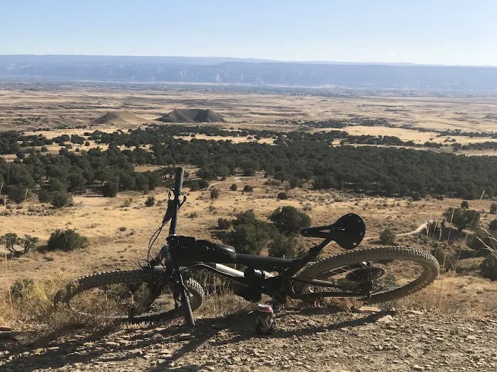 18 Road BLM Campground Picture 7