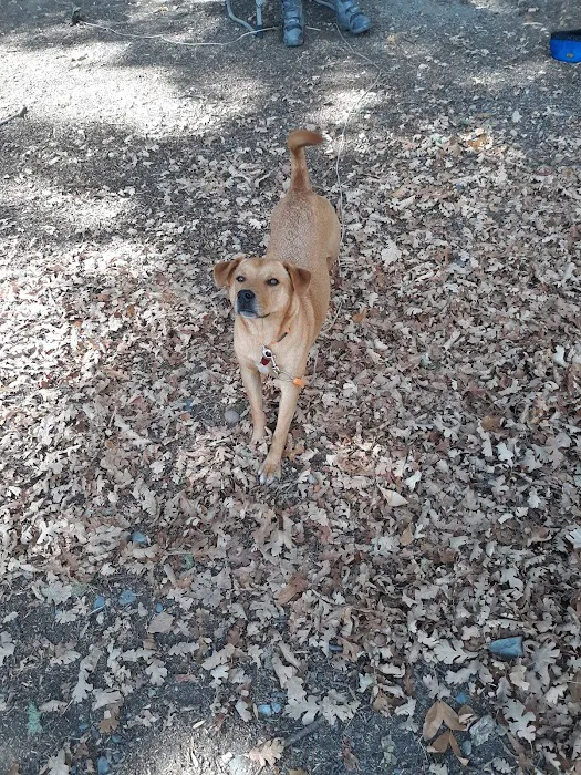 Middle Creek Campground Picture 3