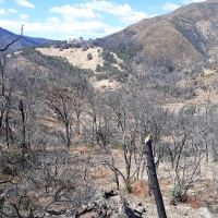 Middle Creek Campground ico