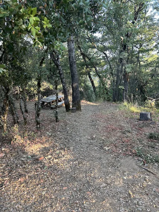 Mayacmas Campground Picture 4