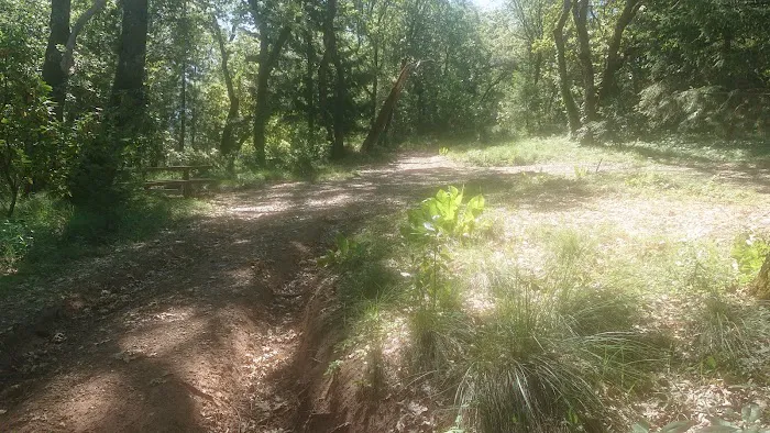 Mayacmas Campground Picture 6