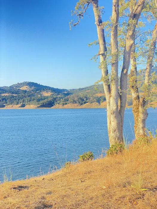 Miti Campground Picture 5