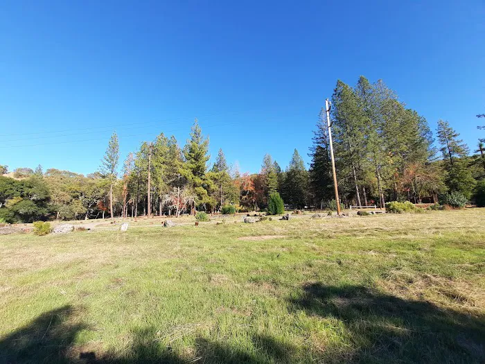 Bushay Camp Ground Little Bear Campsite Picture 2